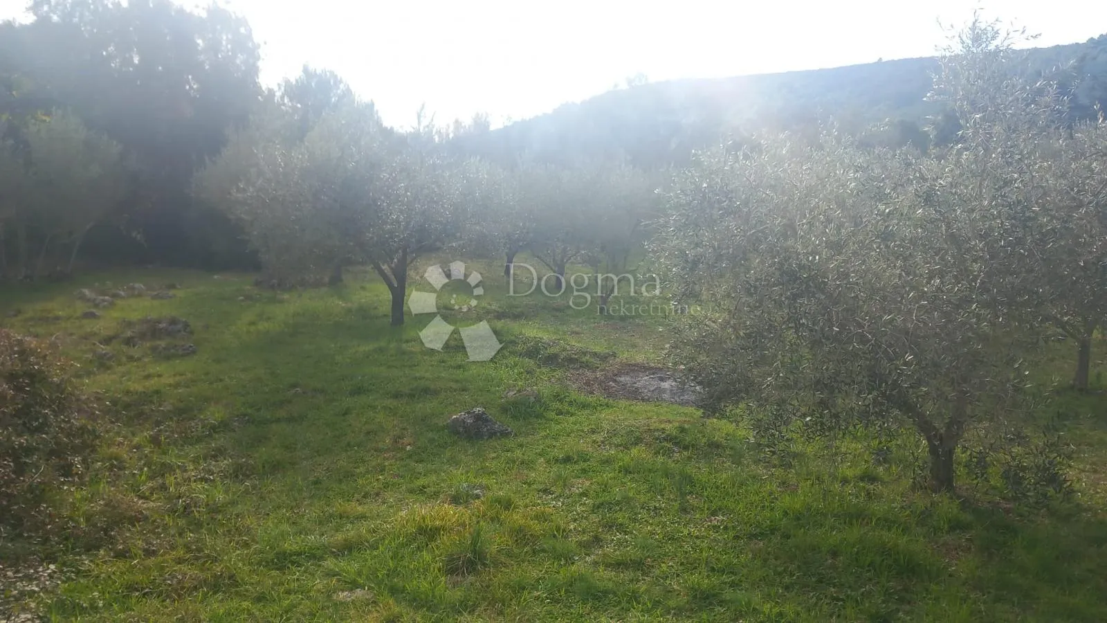 otok pašman građevinsko zemljište s pogledom na more 1123 m² - slika 2