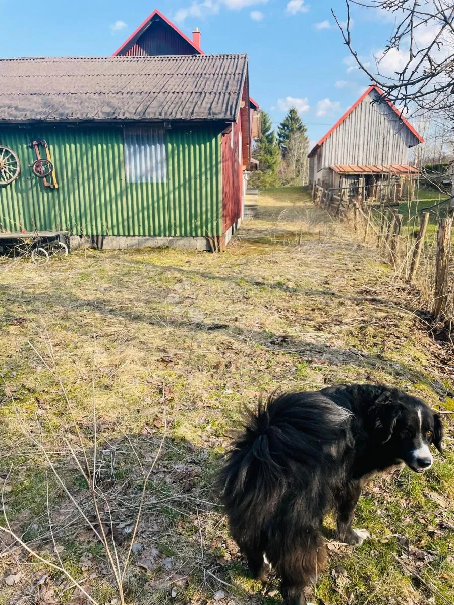 kuća u sungeru sa velikim potencijalom - slika 46