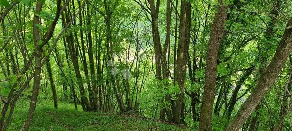 zemljište za hortikulturu ili pčelarstvo - slika 3