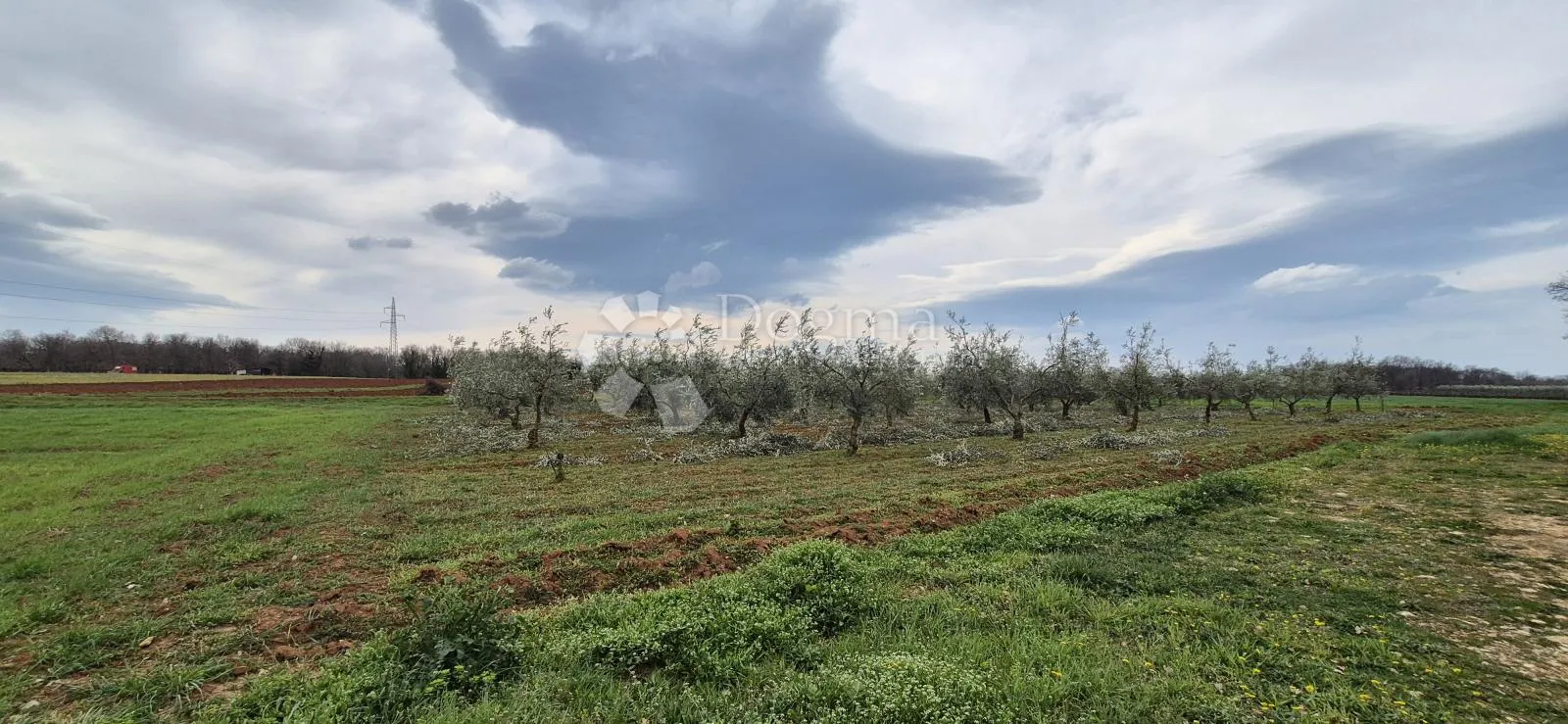 zemljište sa 60 maslina površine 10200 m2 - slika 19