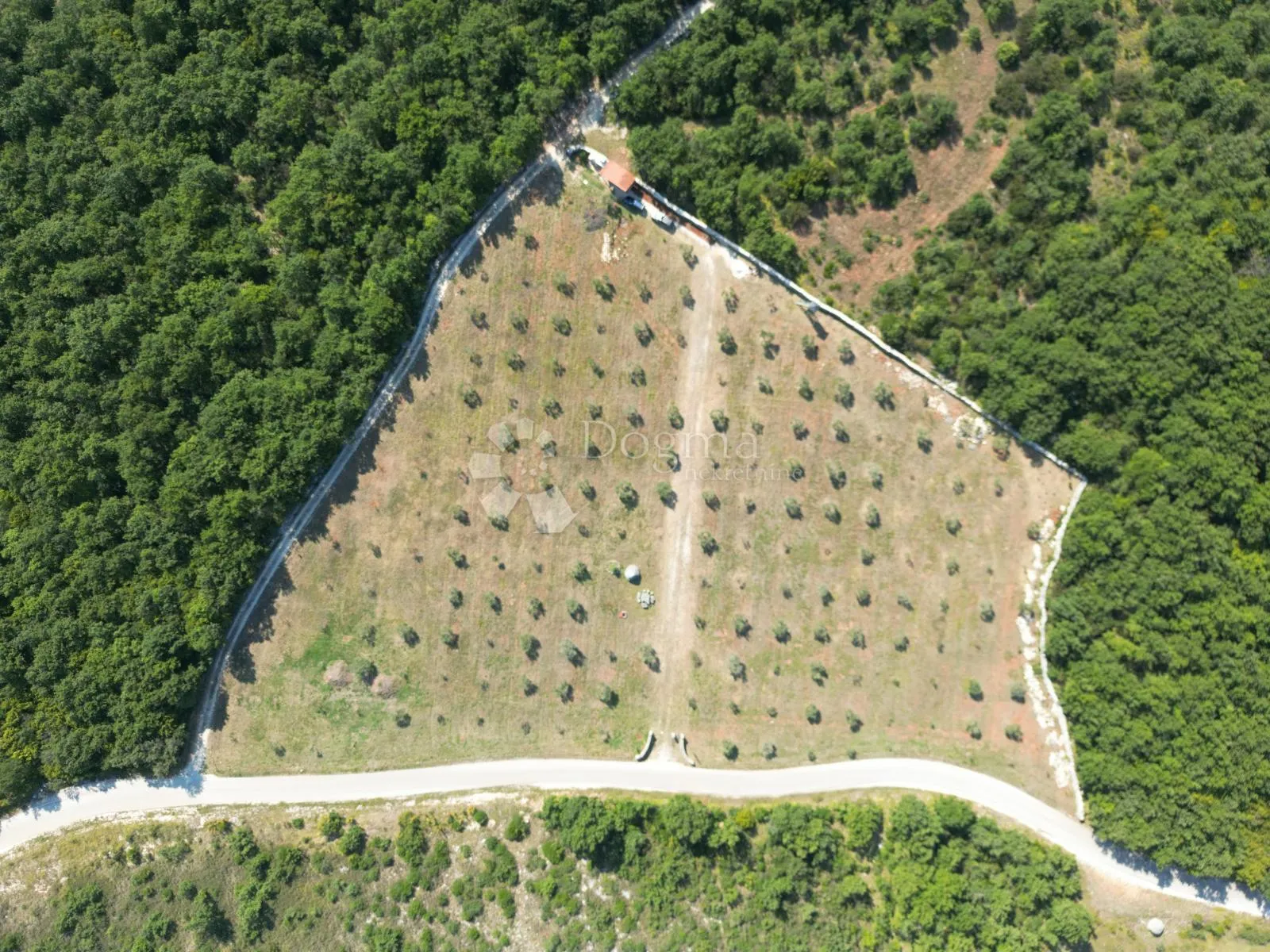 poljoprivredno zemljište sa istarskim kažunom i maslinama 13979 m2 - slika 33