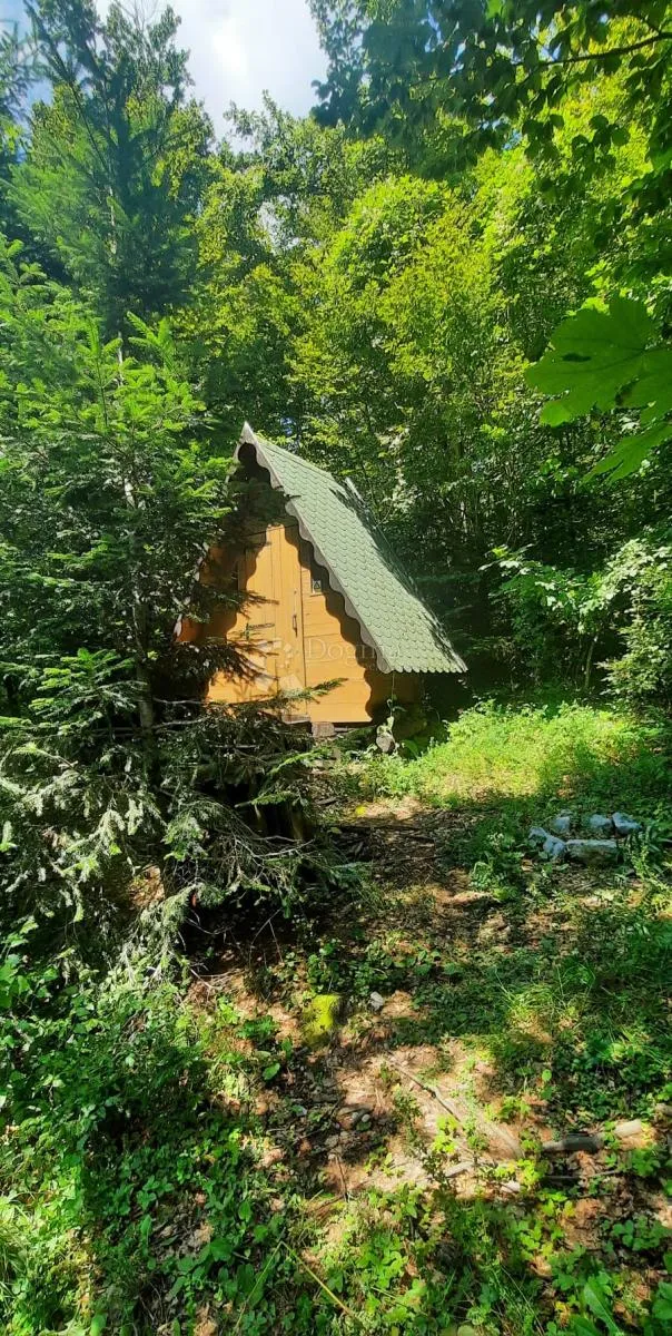zlobin, gorski raj za robinzonski turizam - slika 2