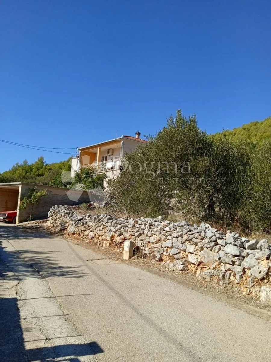 akcija! predivni maslinik s 80 maslina, marina - slika 39