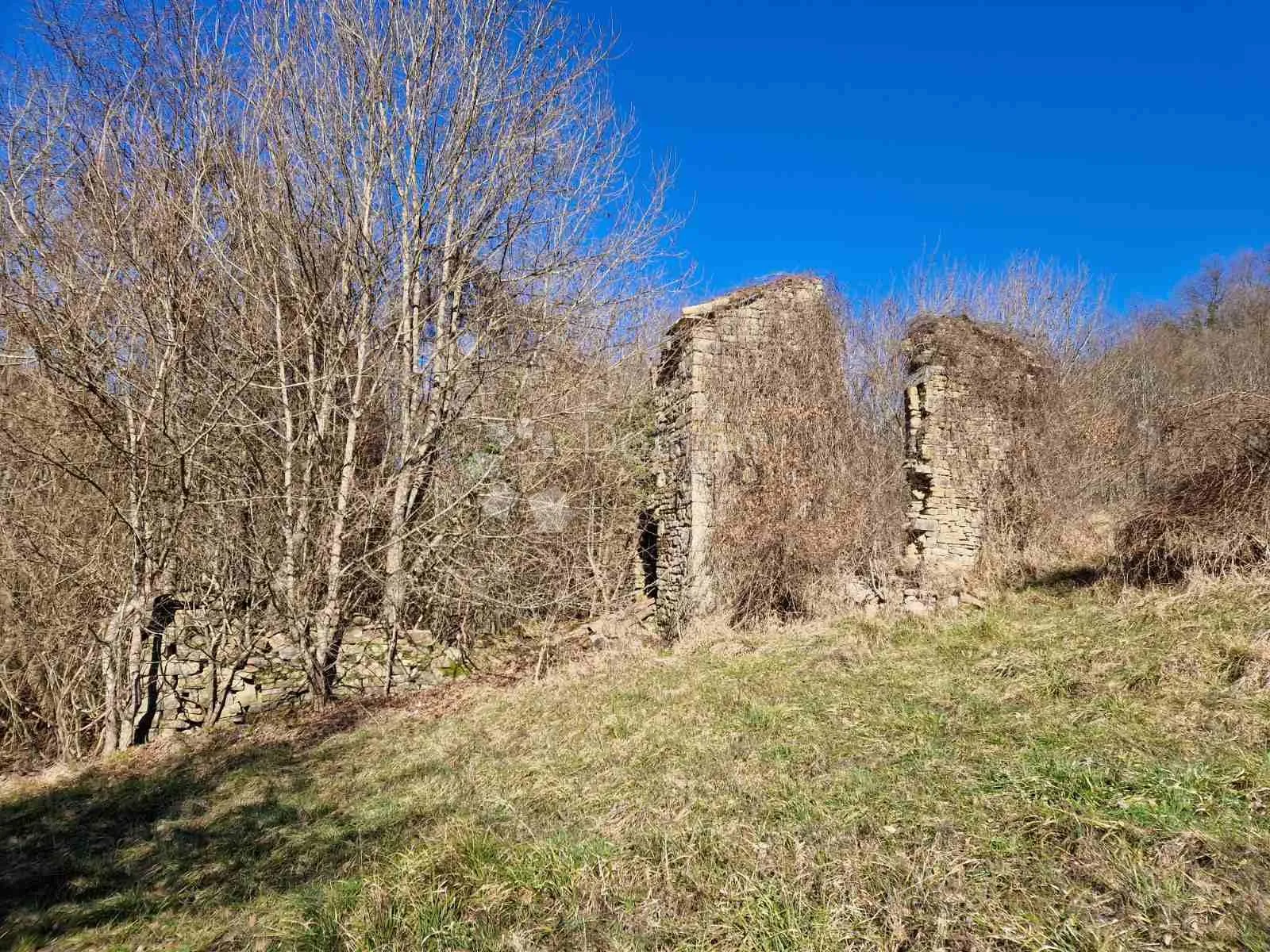 veliko imanje sa dvije kuće s ogromnim potencijalom - središnja istra - slika 7