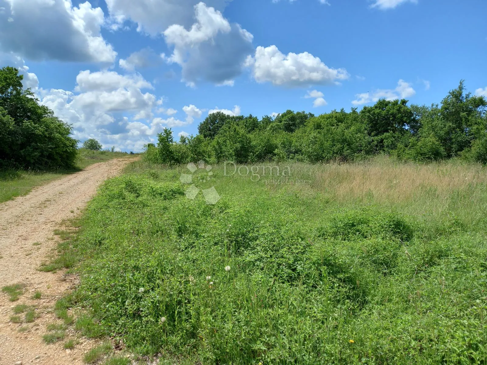 istra, krnica, poljoprivredno zemljište - slika 5