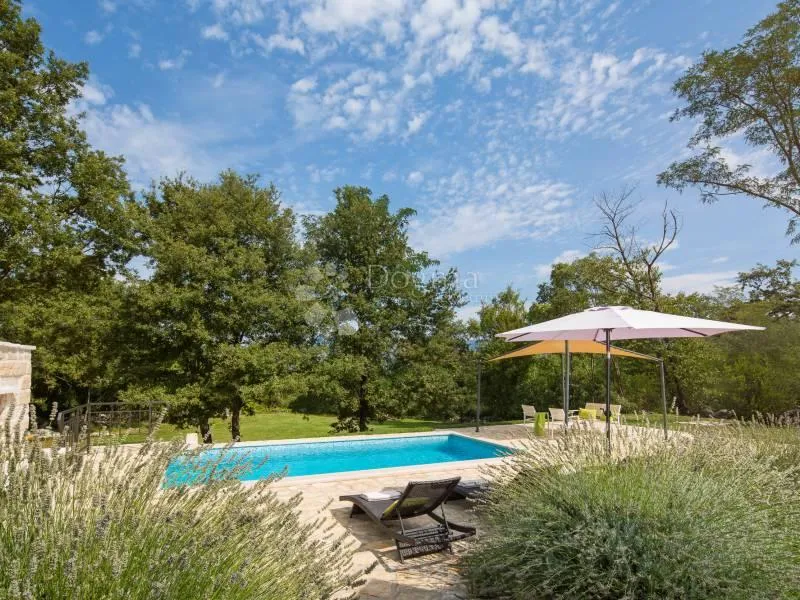prekrasna villa s bazenom sa prostranom okućnicom od čak 4260m2 - slika 5