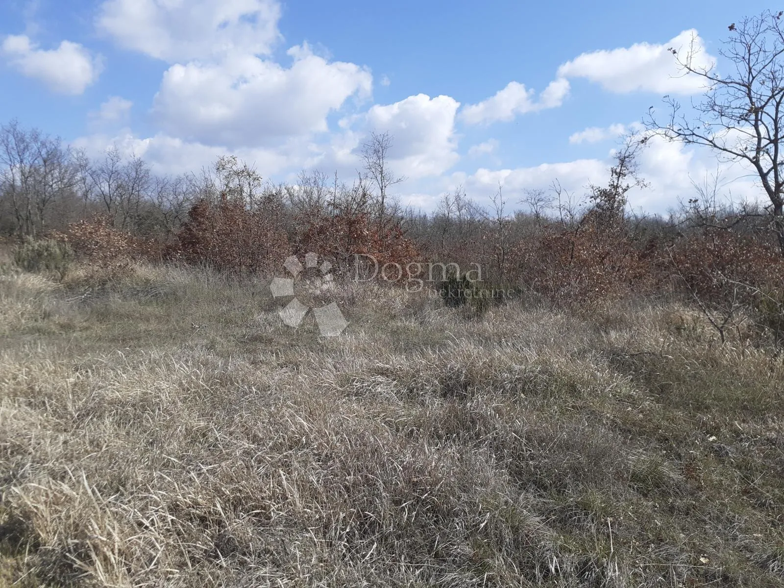 poljoprivredno zemljište na atraktivnoj lokaciji - slika 4