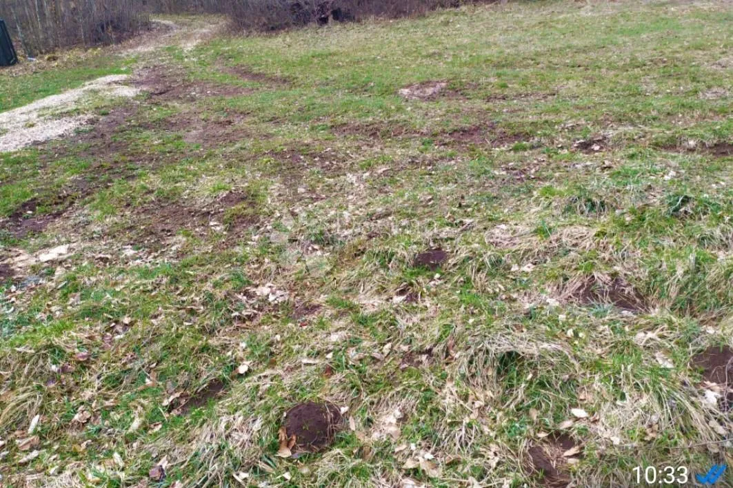 divljina na vašoj strani – idealna lokacija za lov i potpunu privatnost - slika 5