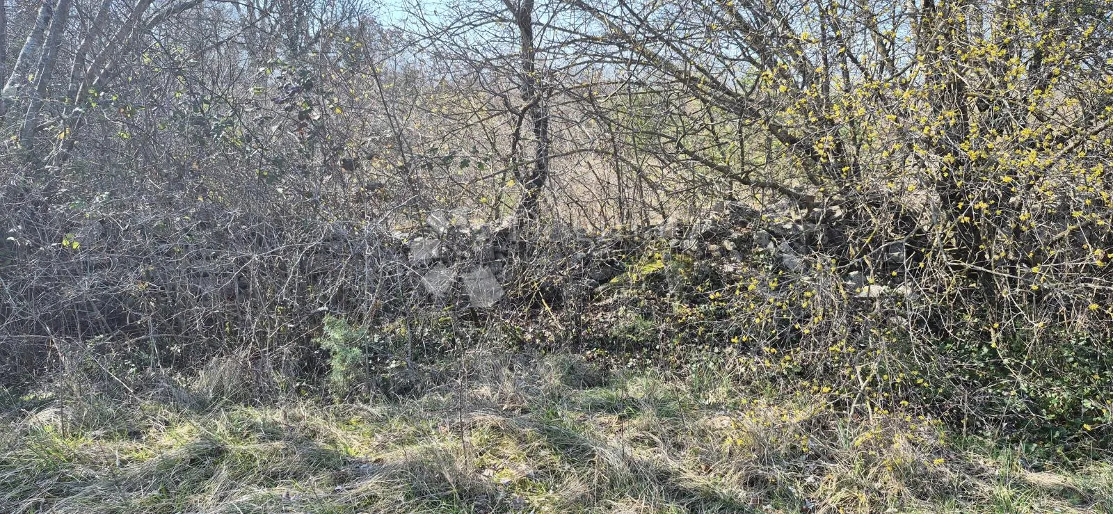poljoprivredno zemljište površine 7962 m2 - slika 4