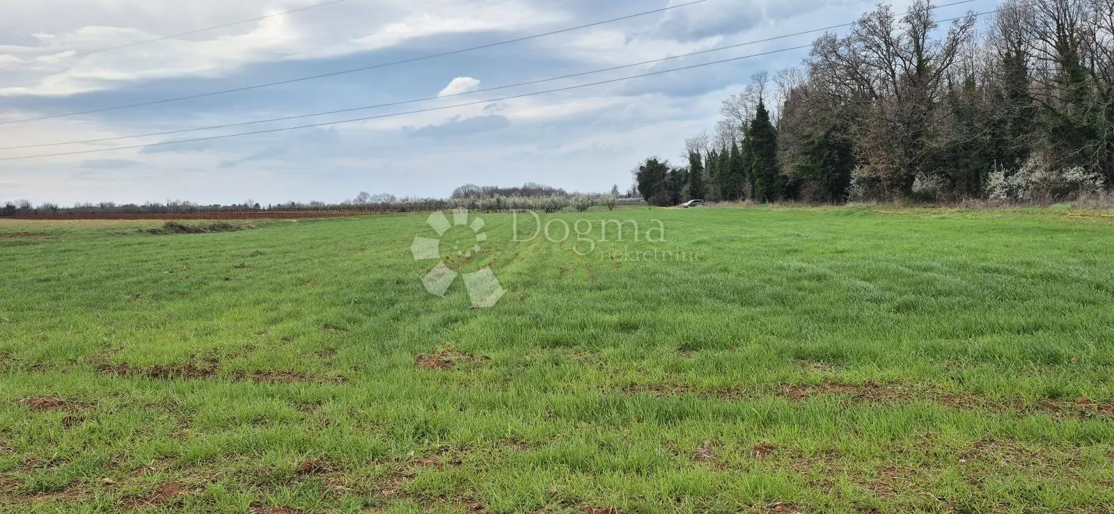 zemljište sa 60 maslina površine 10200 m2 - slika 20