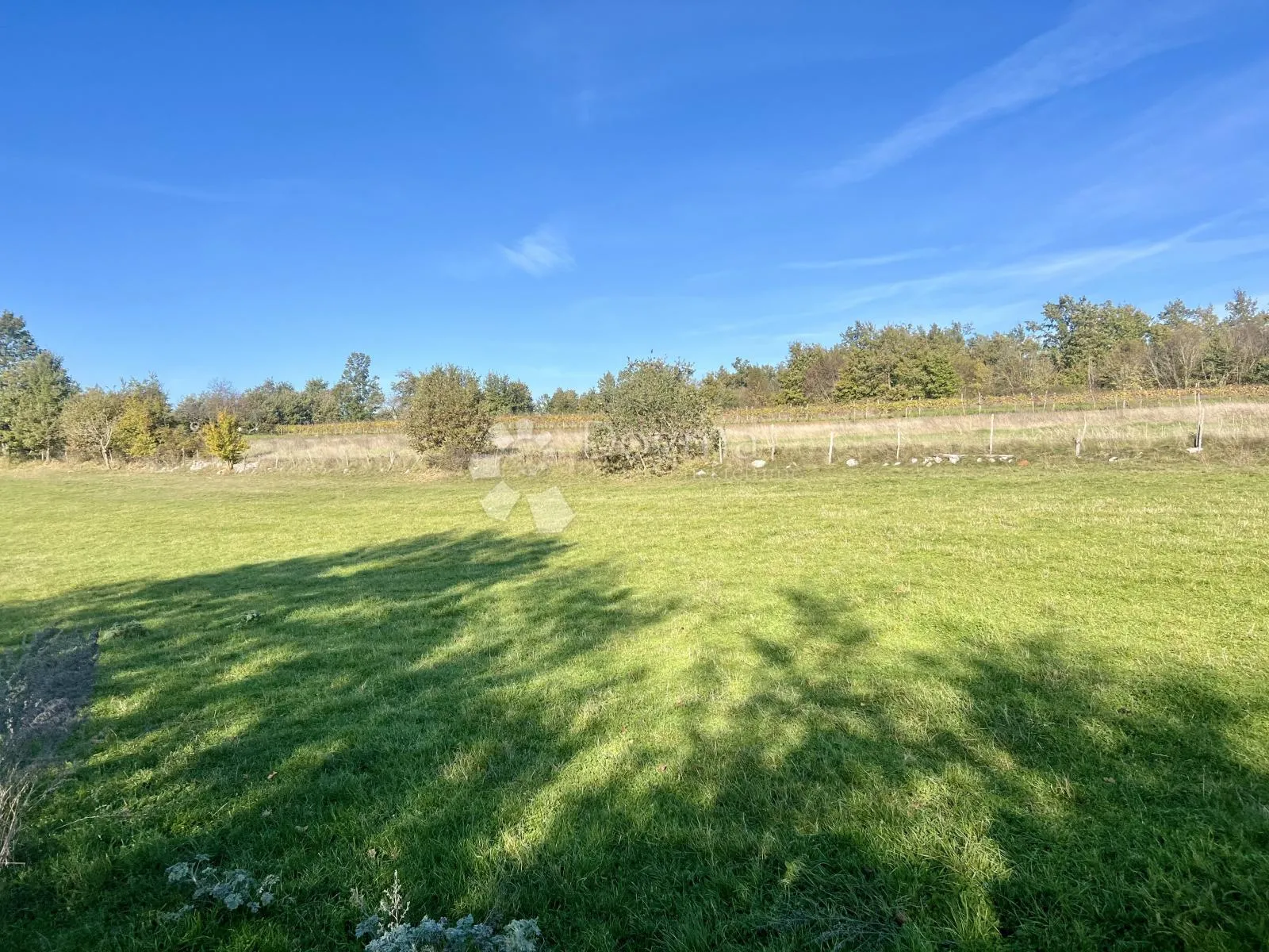 stara kuća s velikim građevinskim zemljištem - 4288 m2 - slika 5