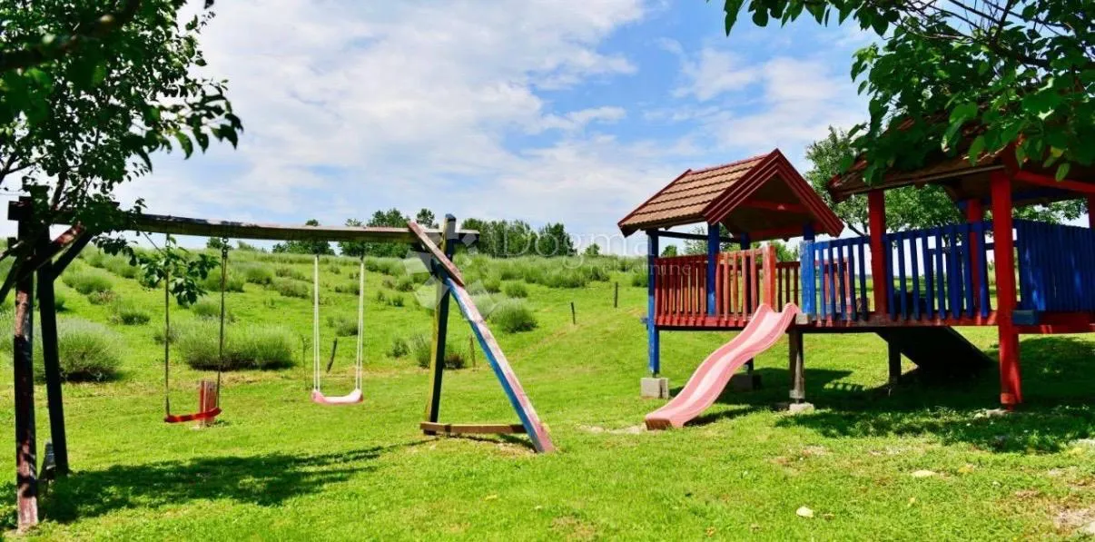 imanje kuće pomoćni objekti i zemlja 10000 m2 - slika 51