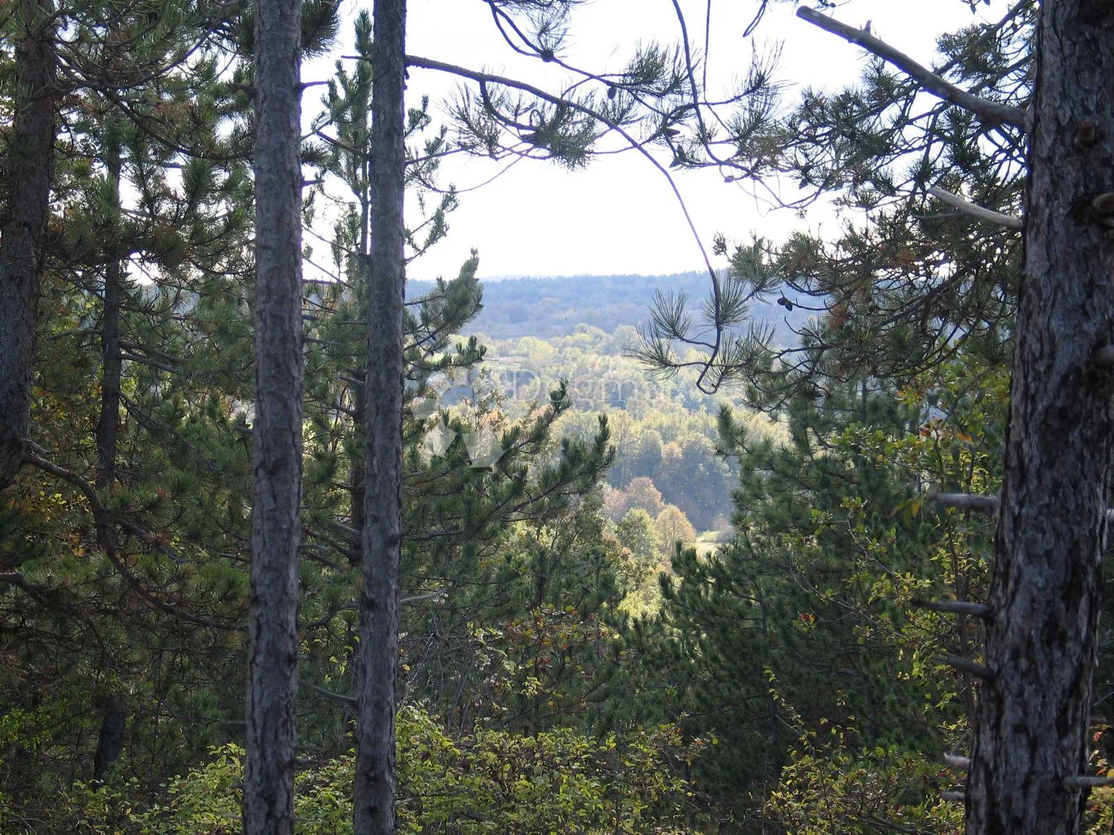građevinsko zemljište (2000m2) s bogatom šumom (36789 m2) - slika 10