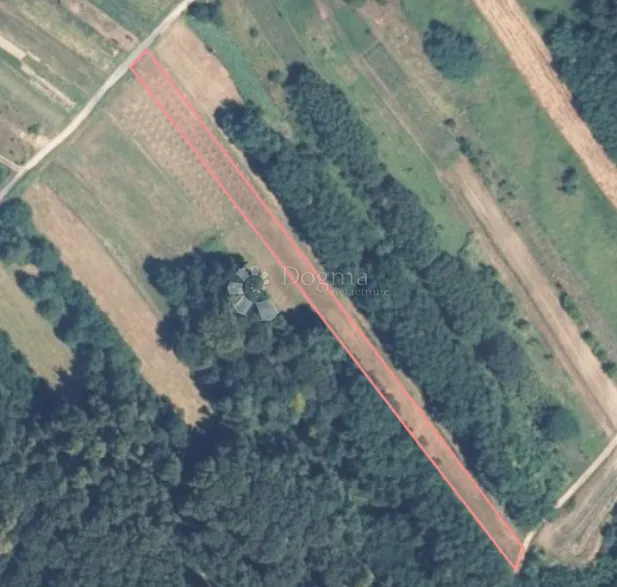 na prodaju zemljište 8.631 m² s voćnjakom – mir i priroda ! - slika 3