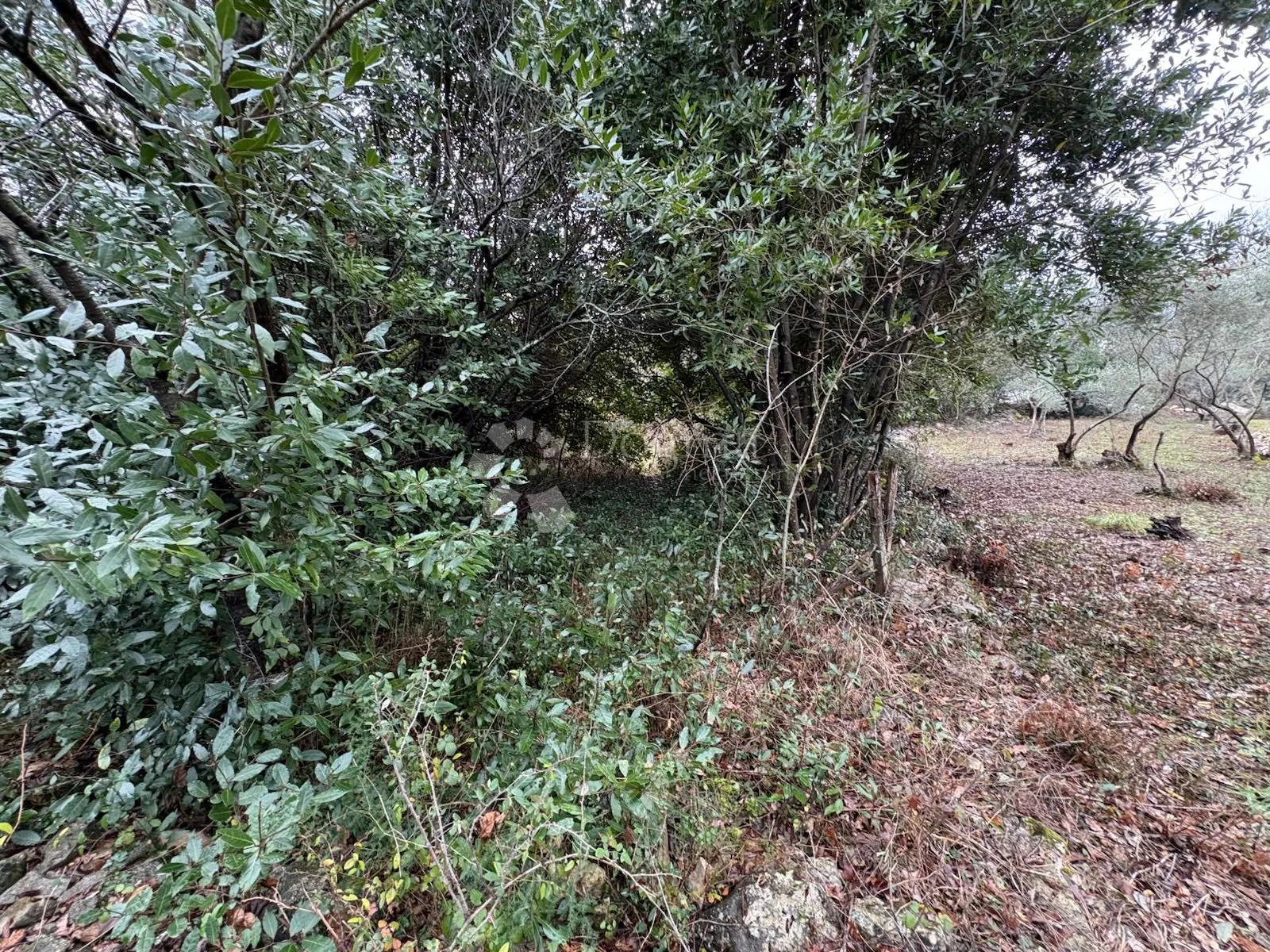 građevinsko zemljište u okruženju vila s bazenom - slika 1