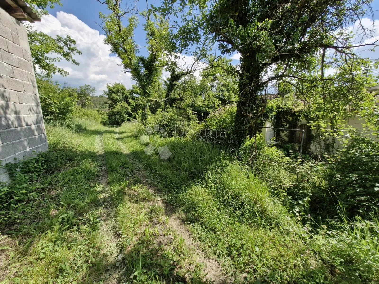 prekrasna starina za adaptaciju u okolici buzeta - slika 5