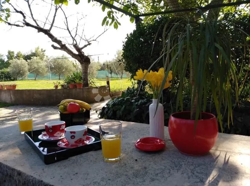 dugoročni najam – kuća lilla, 69 m² + 800 m² privatne okućnice, loborika - slika 5