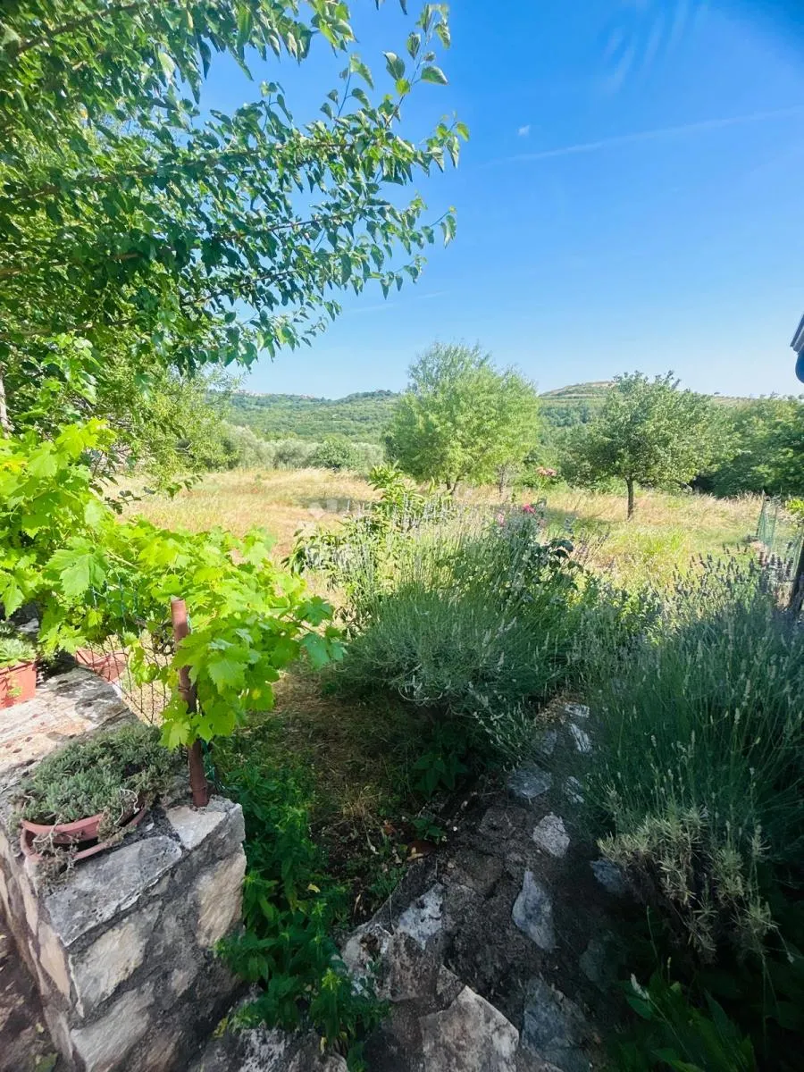 prilika!kuća s dva stana + 8153 okućnice - buje - slika 17