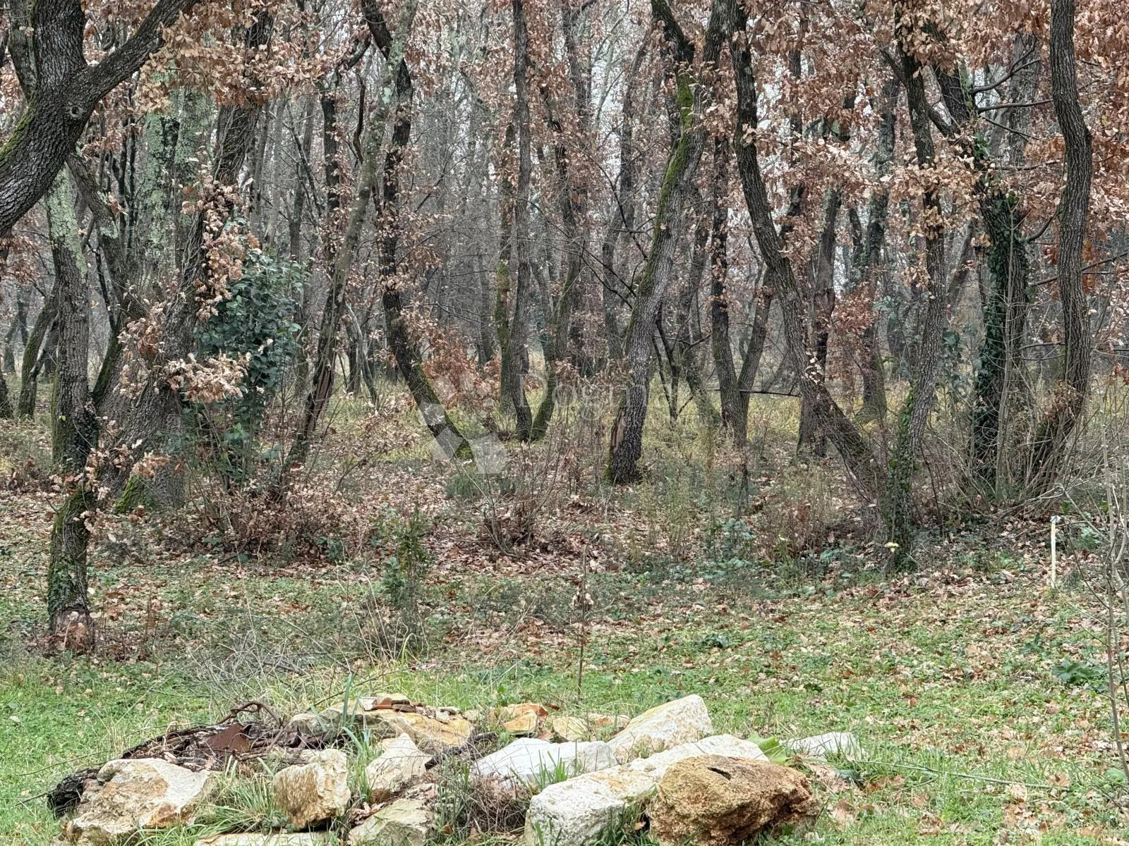 građevinsko zemljište 414m2 + poljoprivredno 1725m2 , u komadu - slika 9