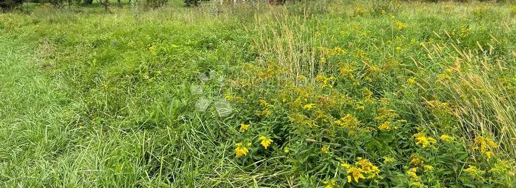 ekskluzivno građevinsko zemljište – gornja stubica, blizu zagreba - slika 3