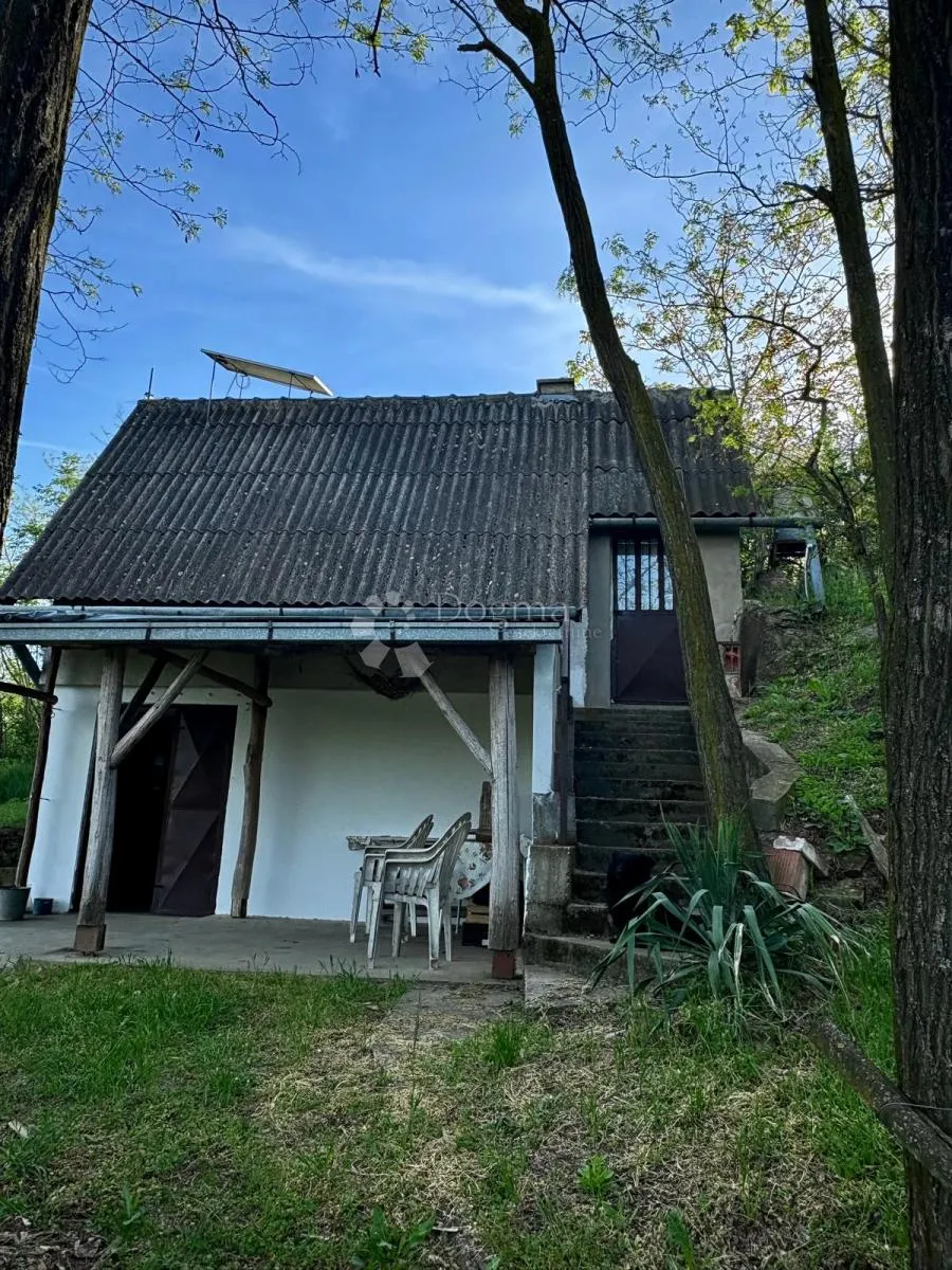 oaza mira i privatnosti – vikendica s vinogradom i 3.797 m² okućnice - slika 6