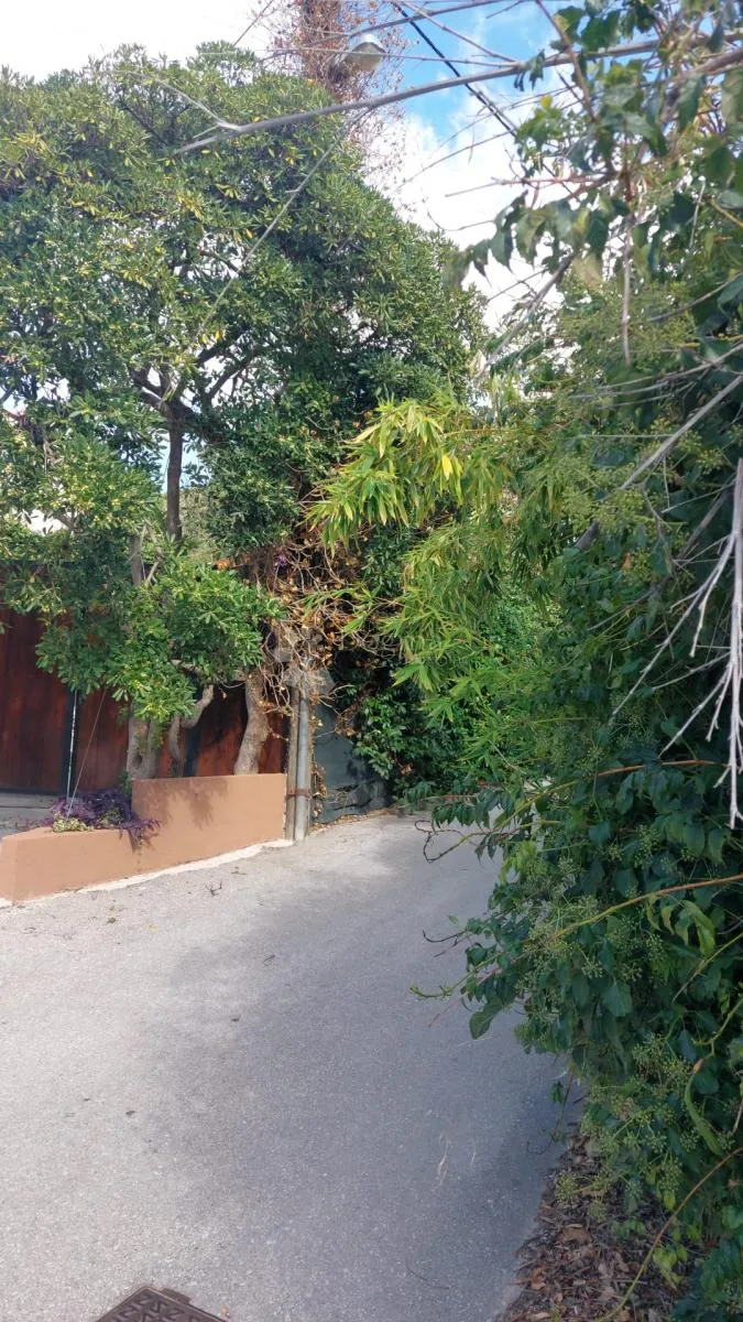 poslovni prostor, meje - slika 2