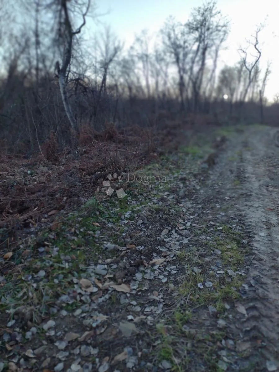 1690m2 građeviskog, 6.7ha poljoprivrednog - slika 8