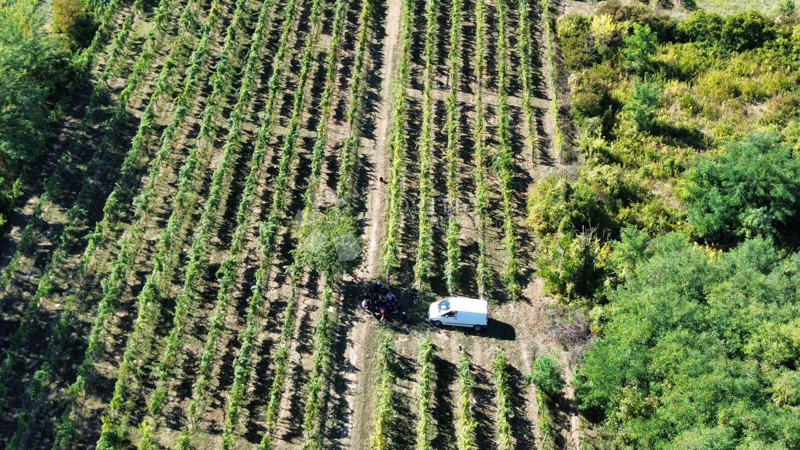 draž-jedinstvena lokacija, kompleks više zgrada - slika 18