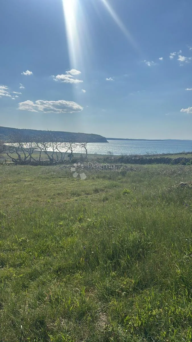projekt prekrasna vila s bazenom rtina - slika 3