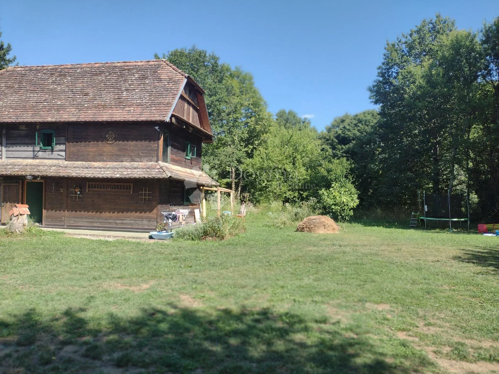šumska vila - slika 1