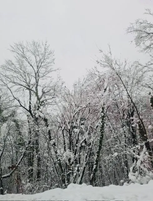 ogulin - poljoprivredno zemljište s potencijalom - slika 8