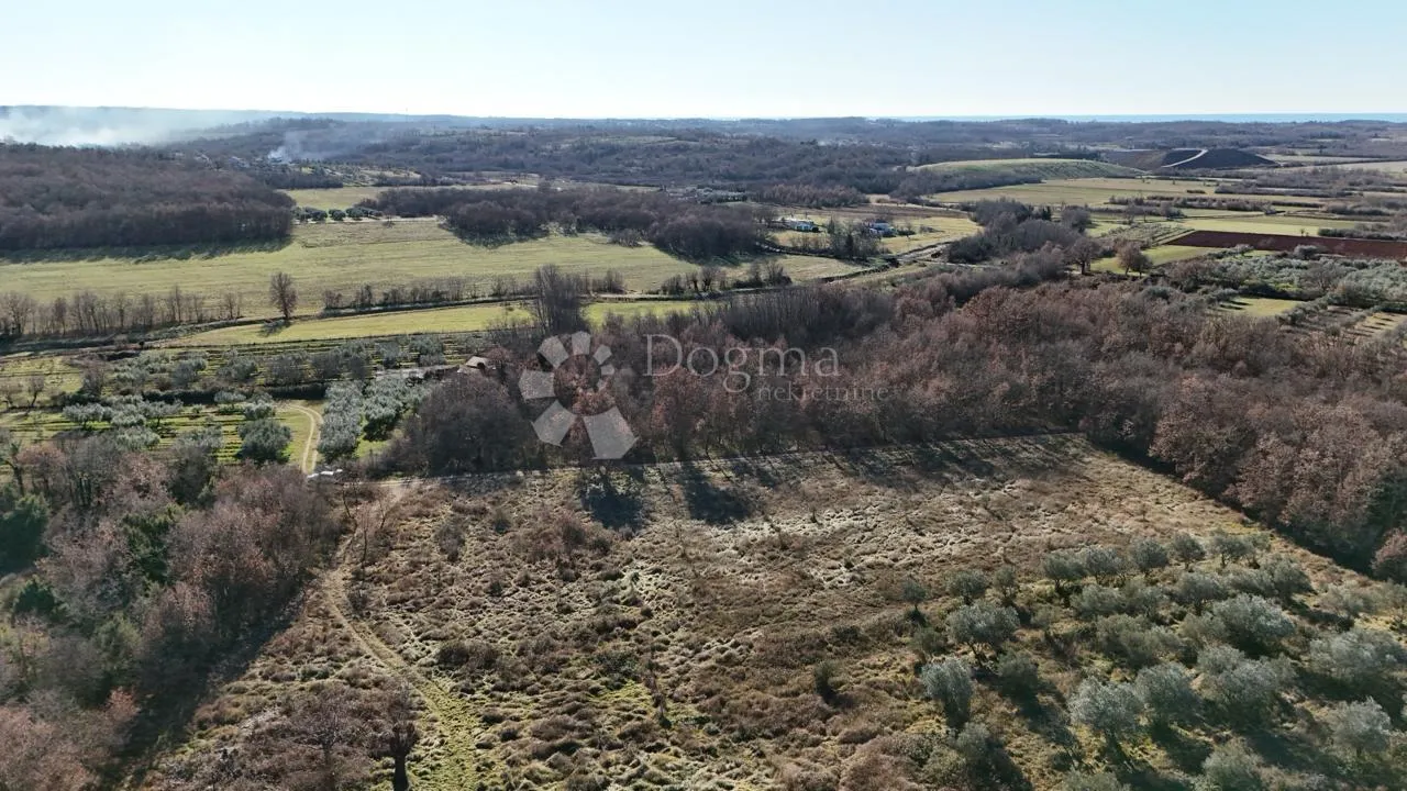 umag, materada, zemljište s dozvolom, 2700m2 - slika 9