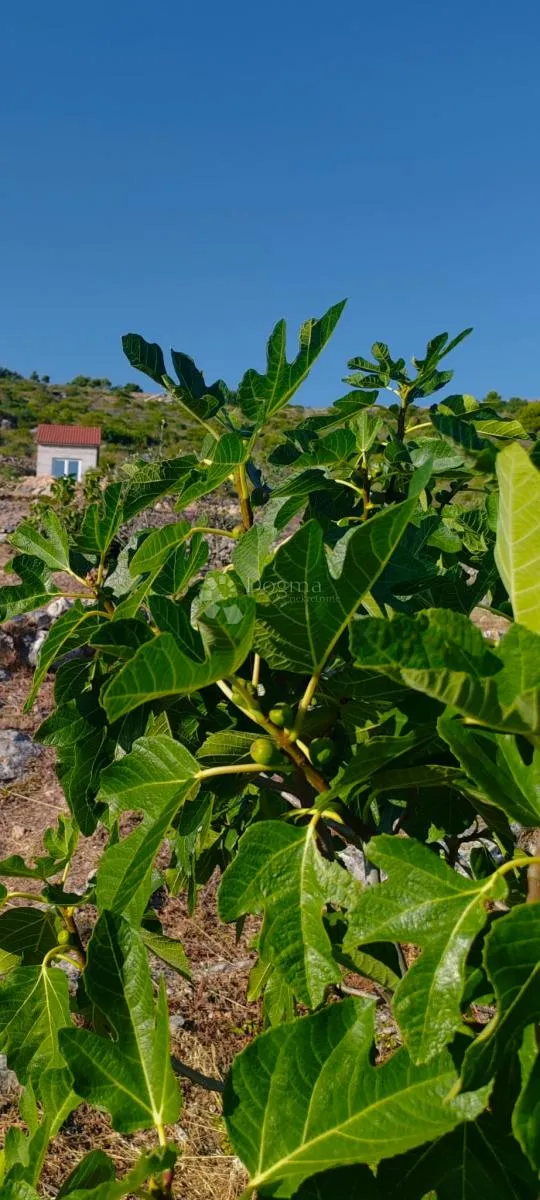 tribunj - vodice zemljište s otvorenim pogledom na more i kućicom za odmor - slika 13
