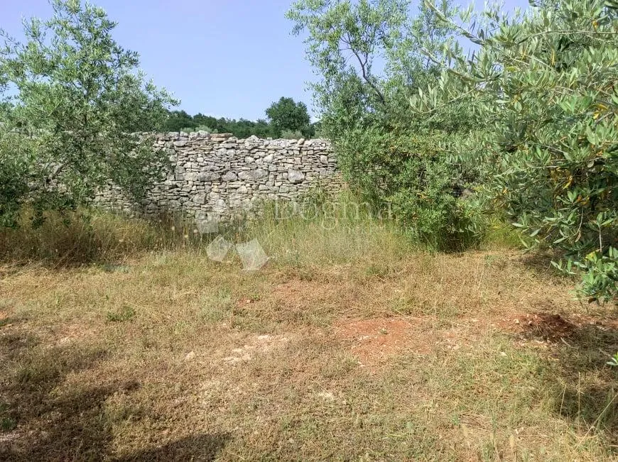 prekrasna stancija u okolici pule, s 10000 m² urbaniziranog zemljišta - slika 29