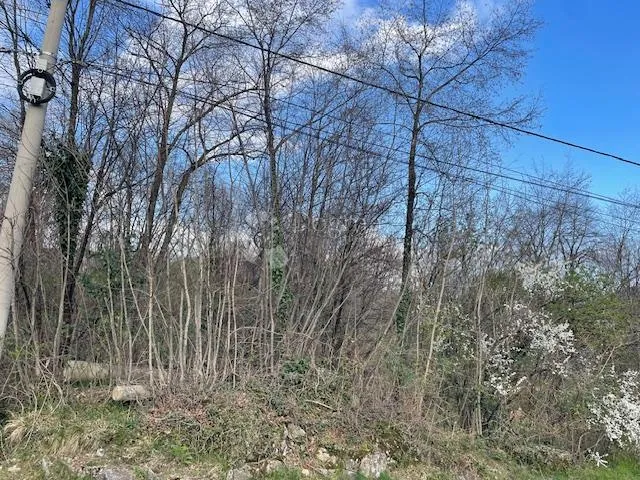 saršoni -3000m2 ,građeviski teren za dvije kuće - slika 2