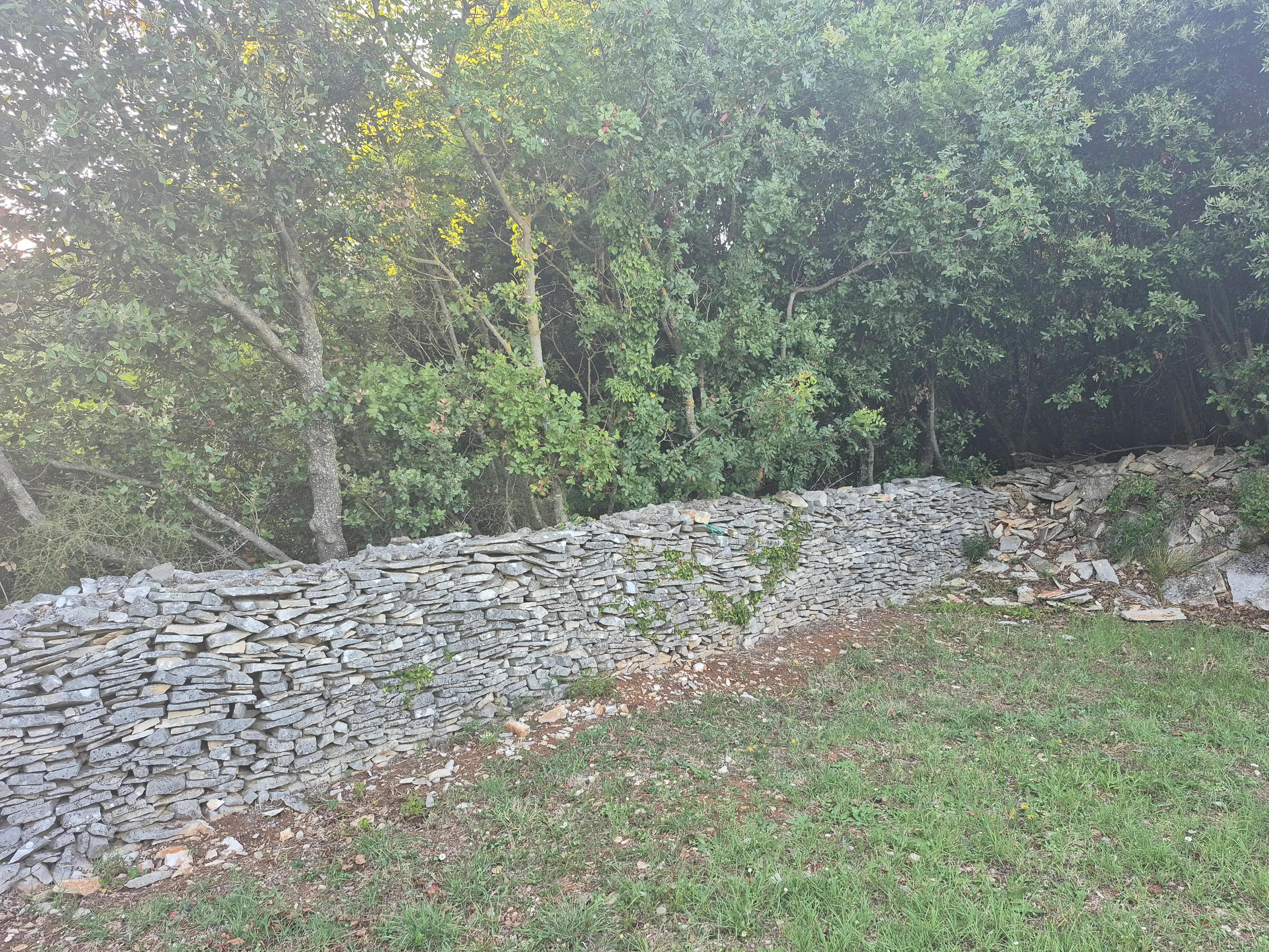 poljoprivredno zemljište - pašnjak - 1942 m2 - slika 9