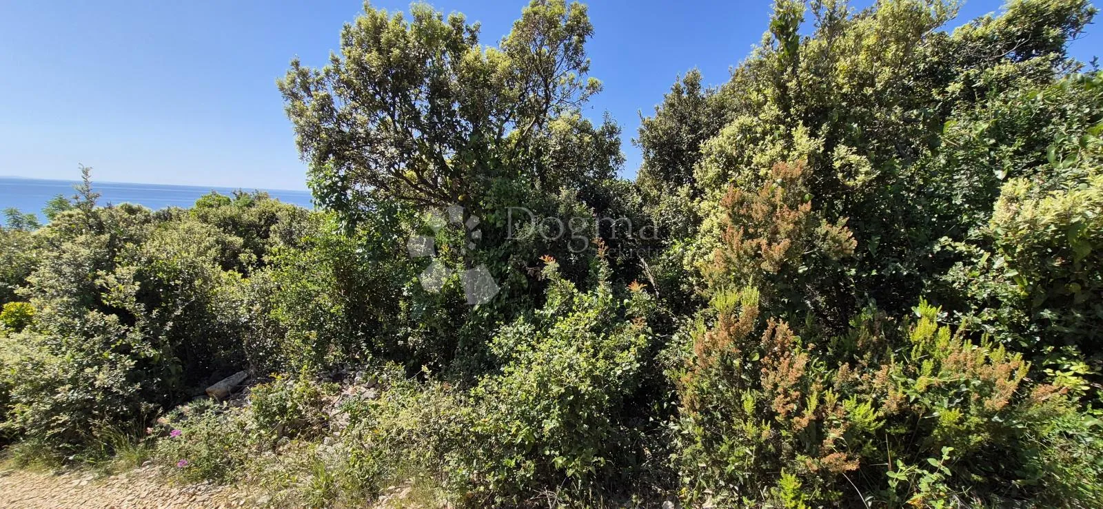 poljoprivredno zemljište s pogledom na more - 250 m od plaže - slika 5
