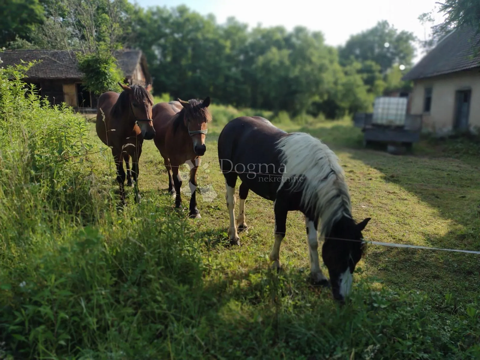 blatuša - 11.2ha - potok, konji !!! - slika 7