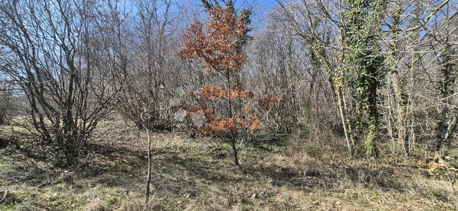 poljoprivredno zemljište površine 7962 m2 - slika 20