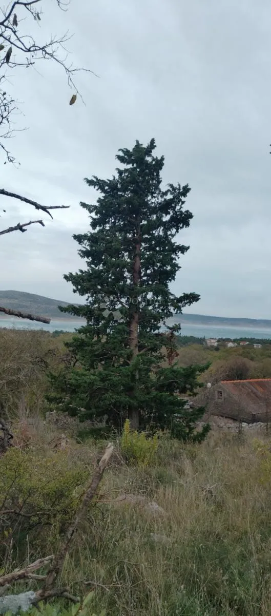 građevinsko zemljište - seline - starigrad - slika 19