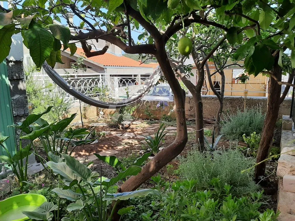 vela luka, korčula - centar kuća s terasom,vrtom i garažom - slika 2