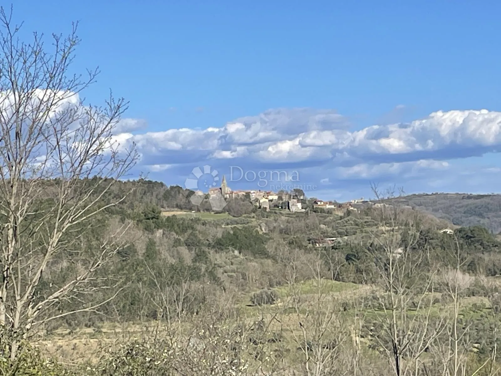 zemljište sa pogledom grožnjan, more i maslinike - slika 3