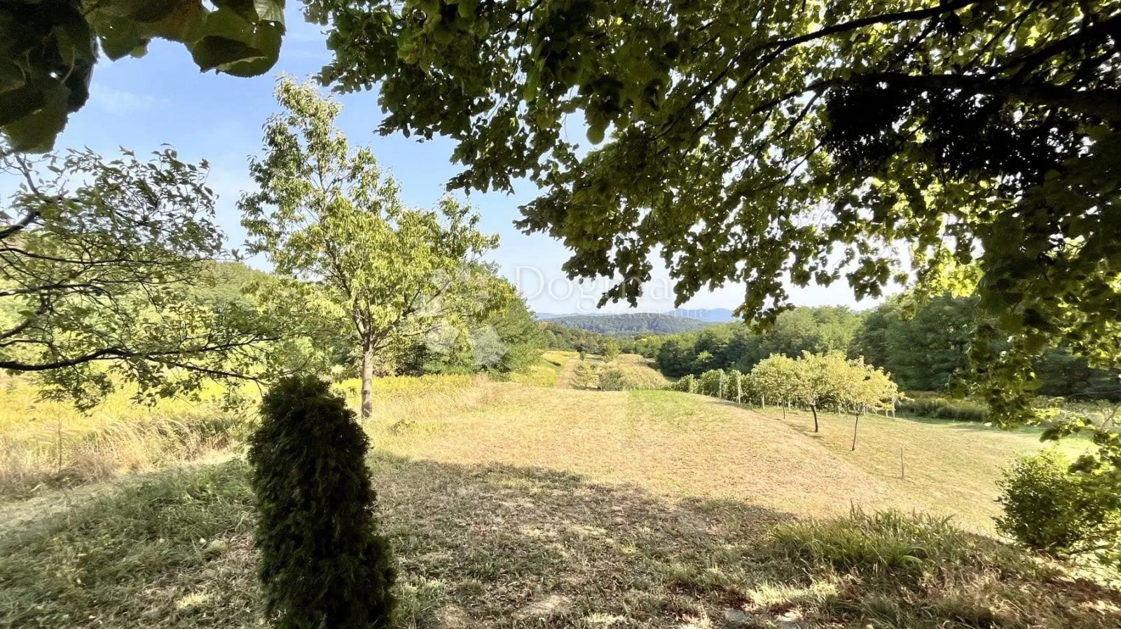 prodaje se zemljište 2.877 m² s borovima i lipom! - slika 2