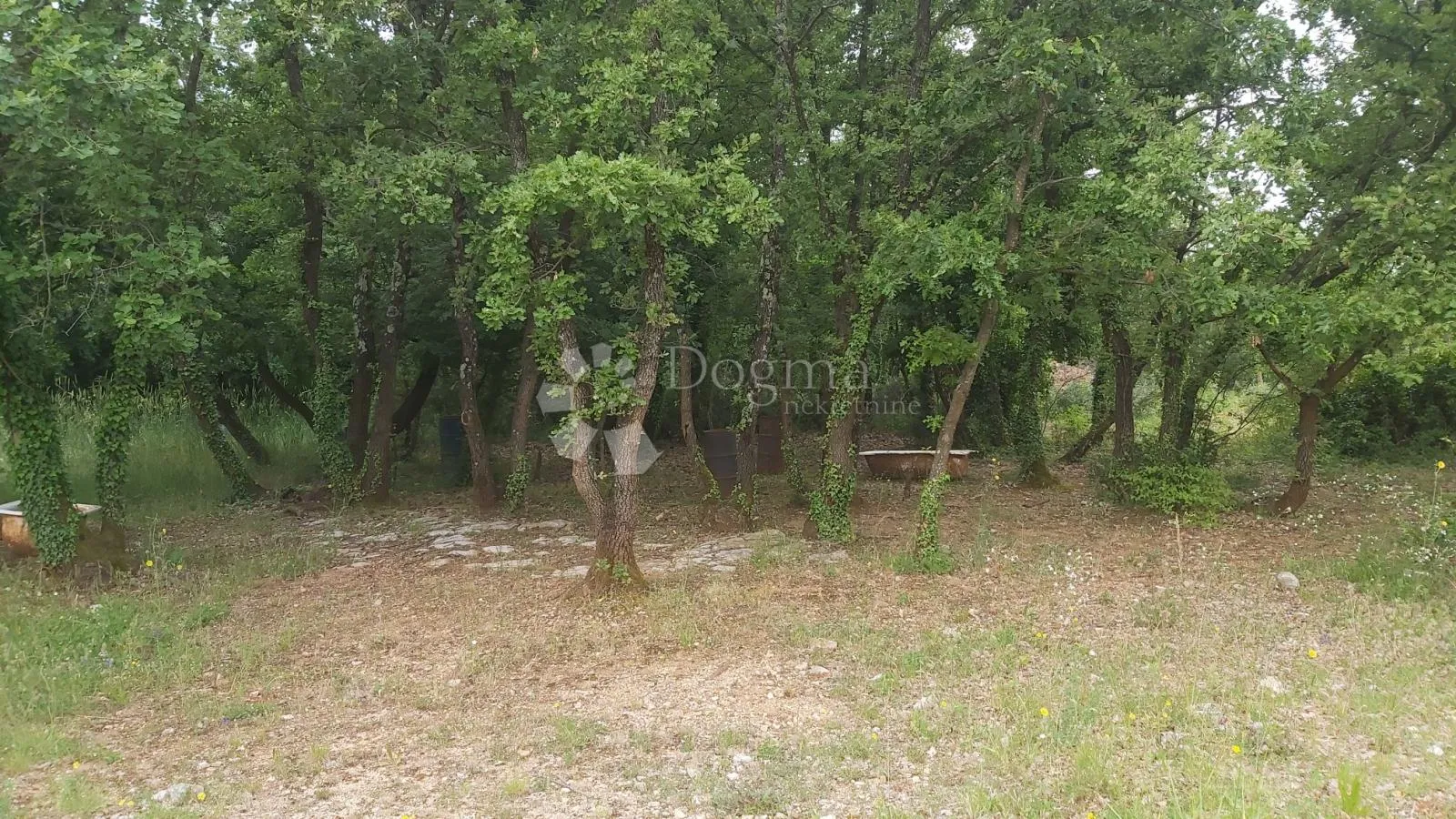 prostrano poljoprivredno zemljište s priključkom vode - slika 6