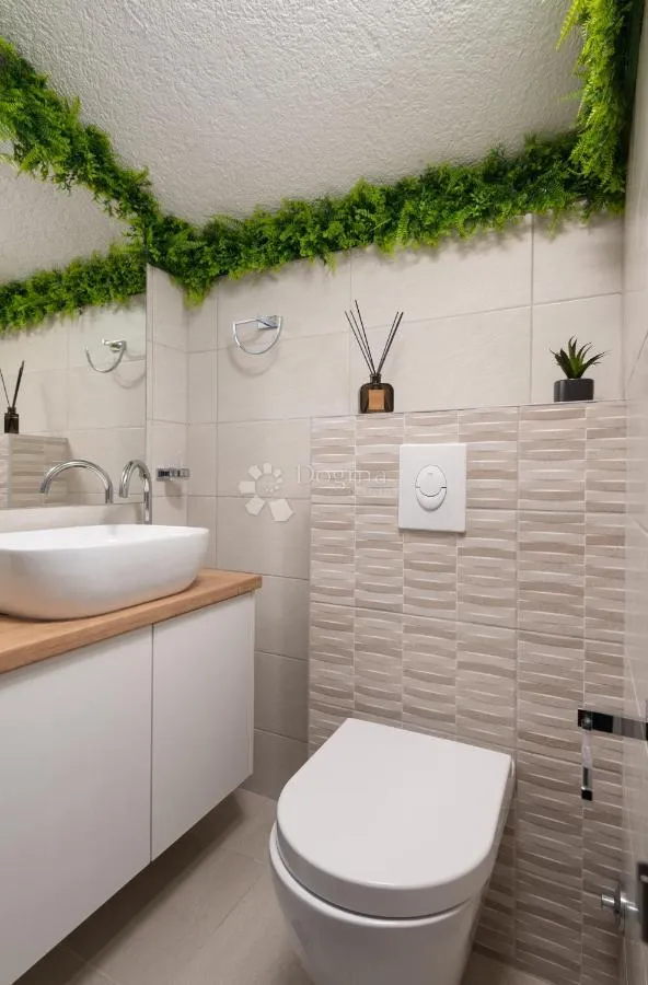 hacienda na braču 10000m2 okućnice - slika 18