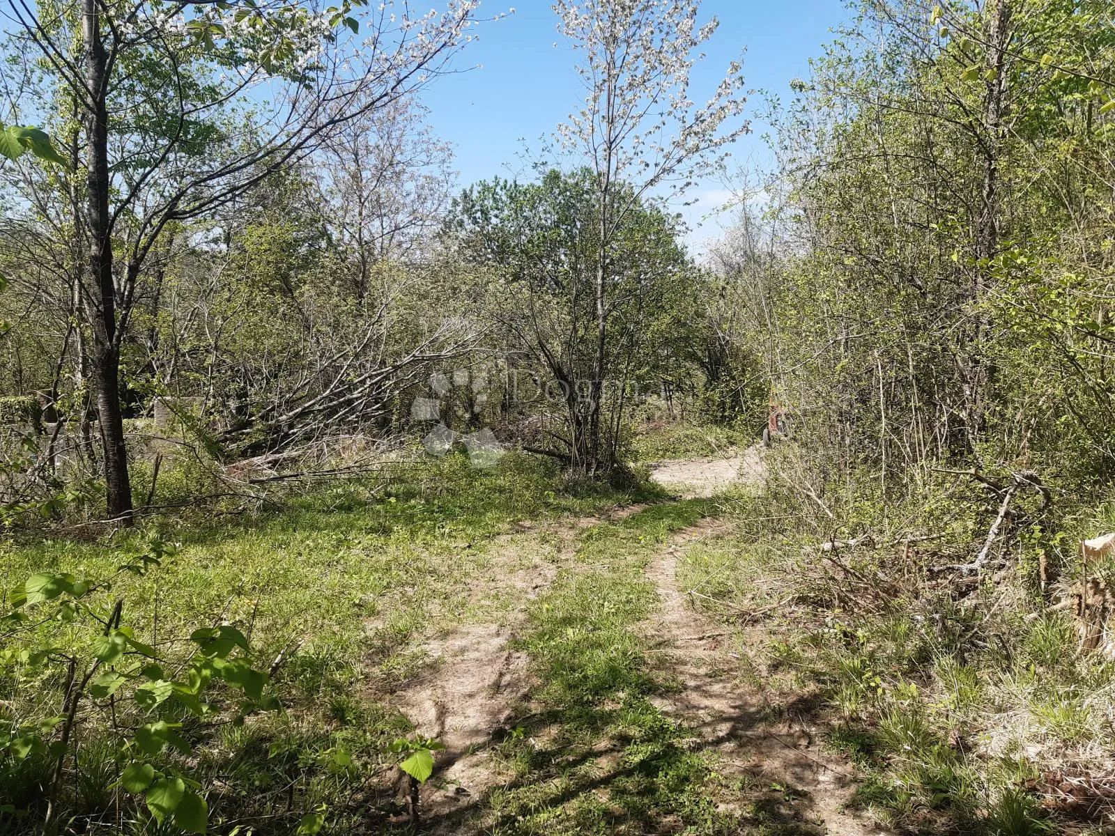 zemljište sa ruševnom kućom - slika 4