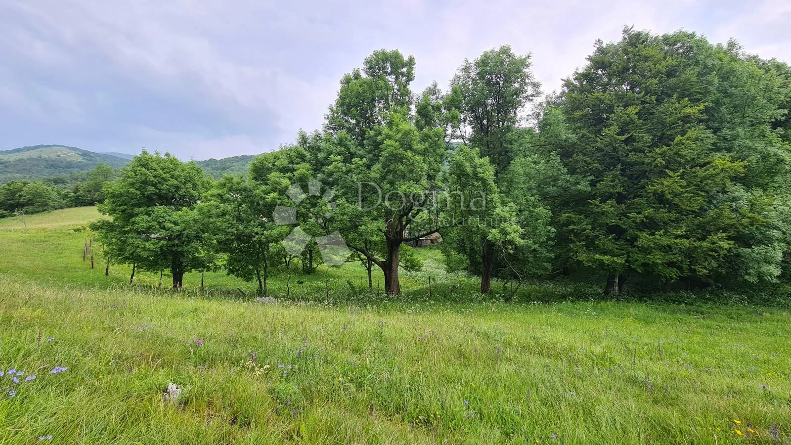 prilika za investitore, građ. parcela 4000m2 s ucrtanim objektom nadomak np risnjak i platak - slika 12