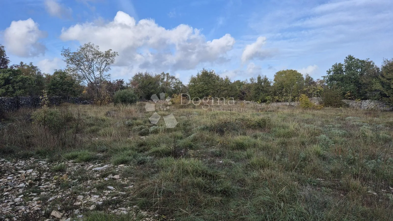 pašnjak ograđen suhozidom, površine 1705 m2 - slika 6