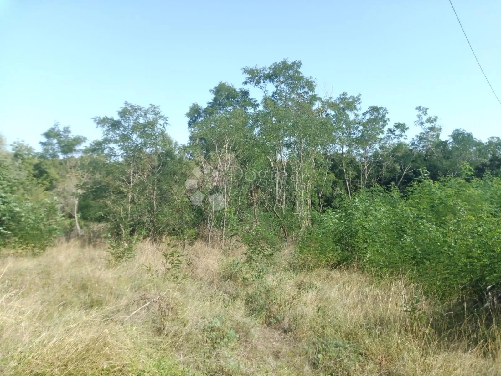 miran raj na zemljištu površine 22 371 m2 (22,37 ha) dio građevinski, nedešćina - istra! - slika 5