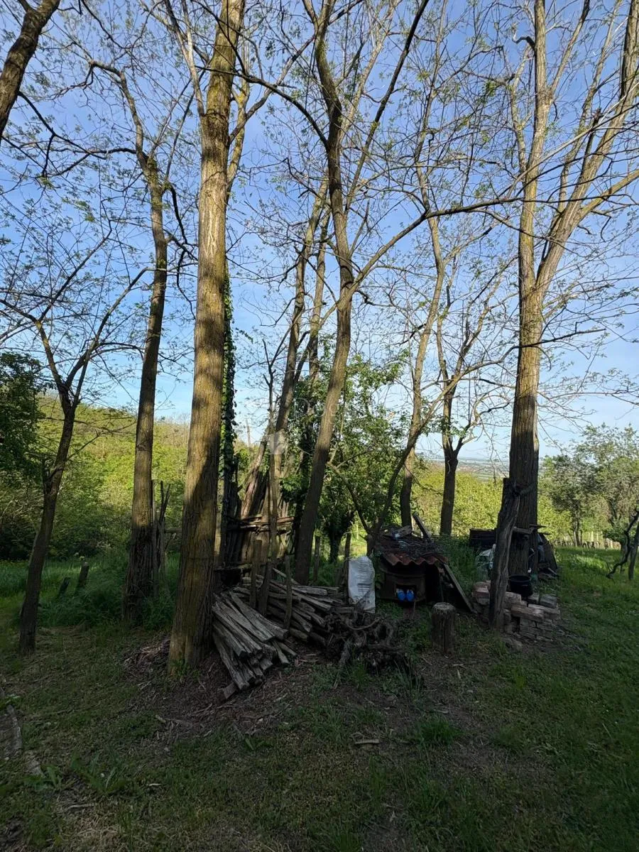 oaza mira i privatnosti – vikendica s vinogradom i 3.797 m² okućnice - slika 29